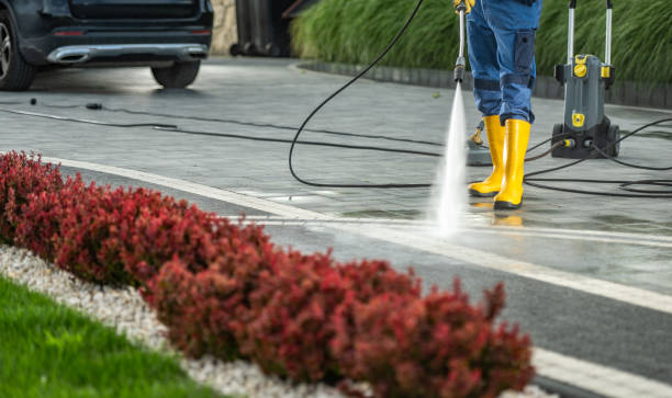 Best Graffiti Removal  in Lago Vista, TX